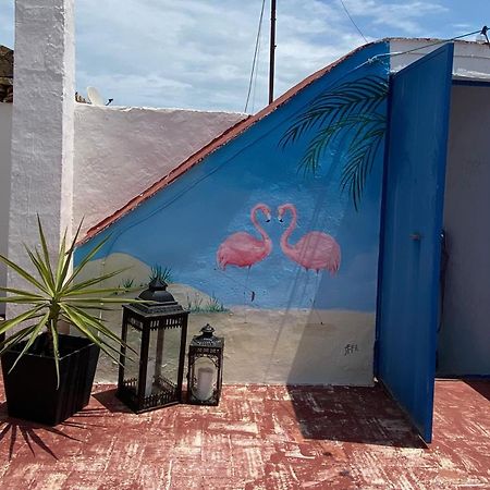 Casa De Los Dos Flamencos Miramar Exteriör bild